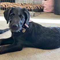 Thumbnail photo of Myra #4