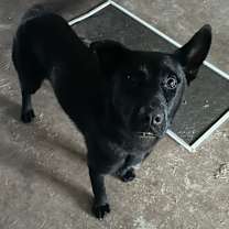 Thumbnail photo of Big Mac #2