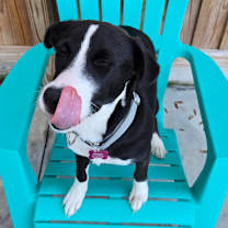 Thumbnail photo of Maya #2