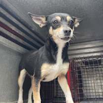 Thumbnail photo of Yvonnetta  #1