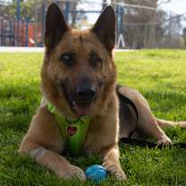 Thumbnail photo of Boy A2165384 #1