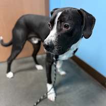 Thumbnail photo of Marcus #1