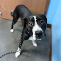 Thumbnail photo of Marcus #2