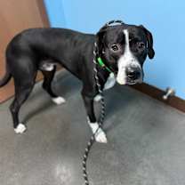 Thumbnail photo of Marcus #3