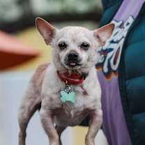 Thumbnail photo of Shrimpy  #2