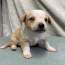 Thumbnail photo of Milan #2