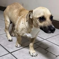 Thumbnail photo of Florence  #2