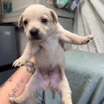 Thumbnail photo of Rome #3