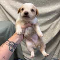 Thumbnail photo of Milan #3