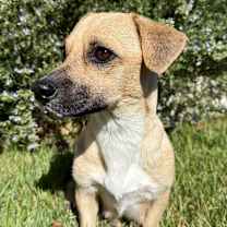 Thumbnail photo of Florence  #3