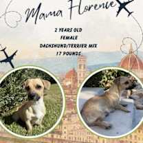 Thumbnail photo of Milan #4