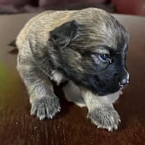 Thumbnail photo of Venice  #4