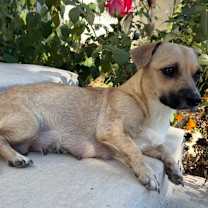 Thumbnail photo of Florence  #4