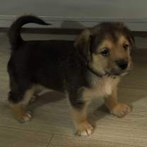 Thumbnail photo of Dunn #2