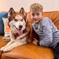 Thumbnail photo of Sky Princess so Fluffy so Sweet #2