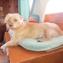 Thumbnail photo of Elsie #1