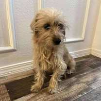 Thumbnail photo of Elsie #2