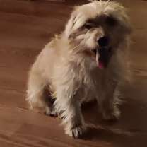 Thumbnail photo of Elsie #3