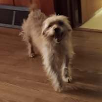 Thumbnail photo of Elsie #4