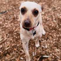 Thumbnail photo of Brewsky #1