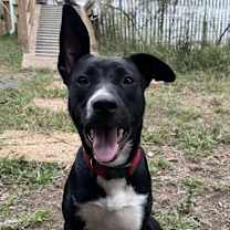 Thumbnail photo of Ruby #1