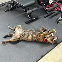 Thumbnail photo of Lily #3