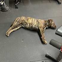 Thumbnail photo of Lily #4