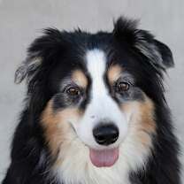 Thumbnail photo of Eddie #1