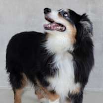 Thumbnail photo of Eddie #3