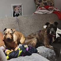 Thumbnail photo of NYX Foster #2