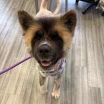 Thumbnail photo of Linda #1