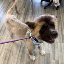 Thumbnail photo of Linda #2