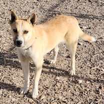 Thumbnail photo of Barney #3