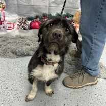 Thumbnail photo of Taco #1