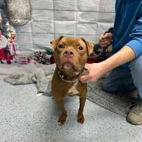 Thumbnail photo of Penelope #1