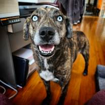 Thumbnail photo of Mariah #2