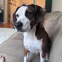 Thumbnail photo of Chuckles #2