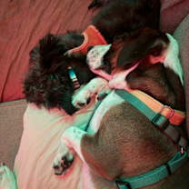 Thumbnail photo of Chuckles #3