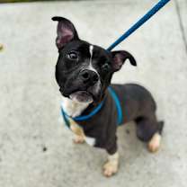 Thumbnail photo of Twila #3