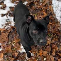 Thumbnail photo of Ezme #1