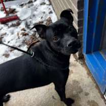 Thumbnail photo of Ezme #2