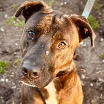 Thumbnail photo of Barbie #1