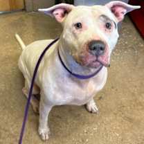 Thumbnail photo of Sky #3