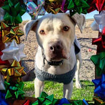 Thumbnail photo of Tex #1