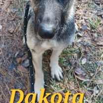 Thumbnail photo of Dakota #1