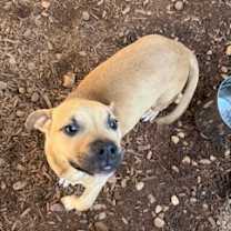 Thumbnail photo of Tiny Tim #2