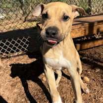 Thumbnail photo of Tiny Tim #3