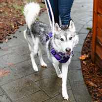 Thumbnail photo of Sky #1