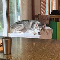 Thumbnail photo of Sky #2