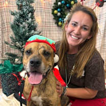 Thumbnail photo of Sir #1